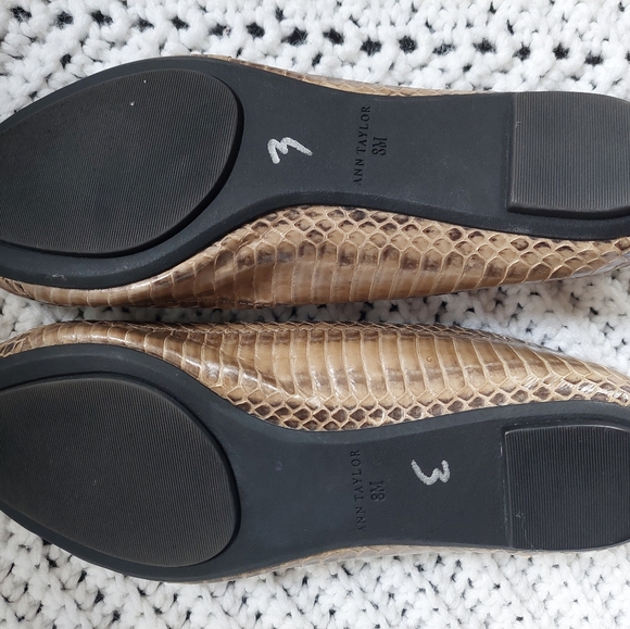 Ann Taylor Snakeskin ballet flats 8 - Picture 4 of 7